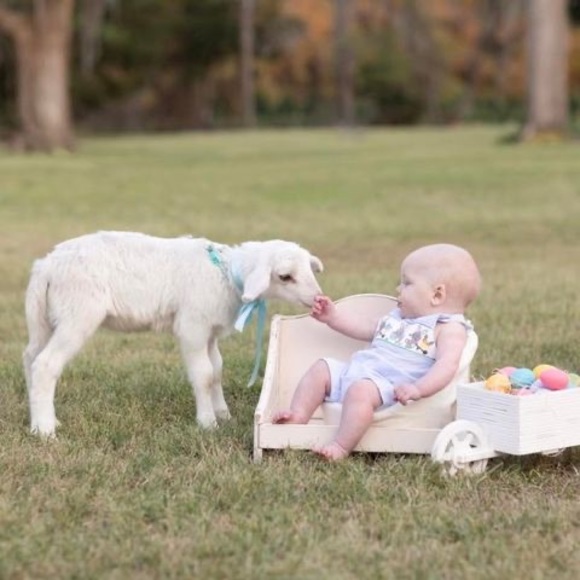 Meet your Posher, Stacie - Picture 1 of 1